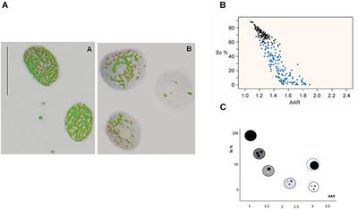 Sodium Valproate-Induced Chromatin Remodeling